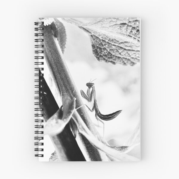 Item preview, Monochrome Mantis - Minimalist Nature Photography designed and sold by sky earth human.