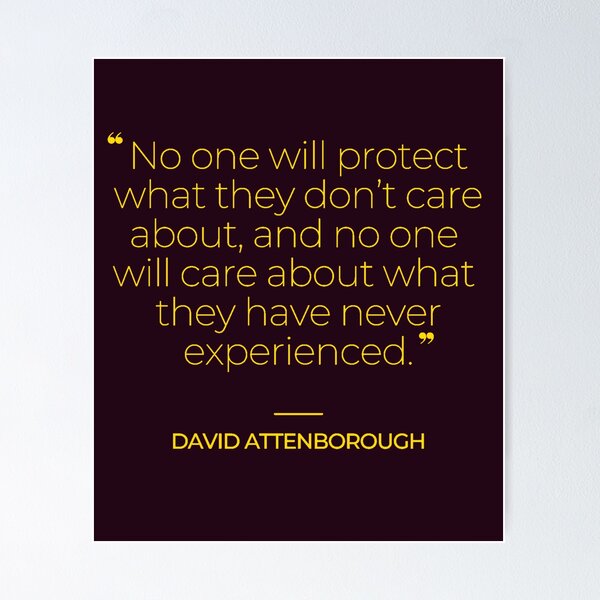 Item preview, David Attenborough Famous Quotes designed and sold by TonsPOD.