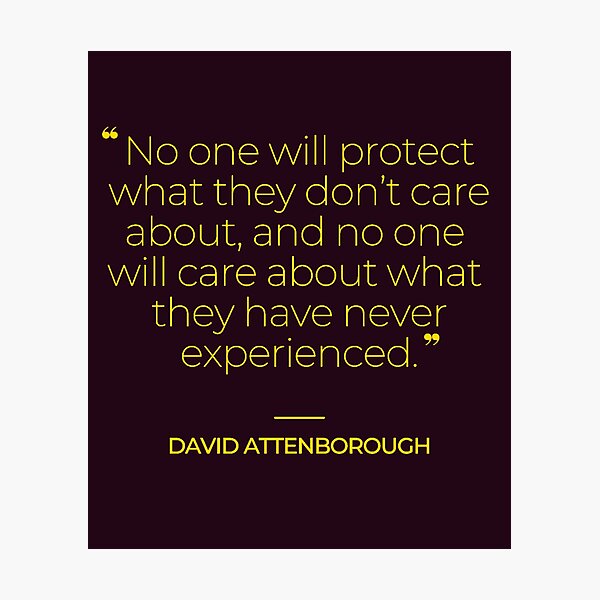 Item preview, David Attenborough Famous Quotes designed and sold by TonsPOD.