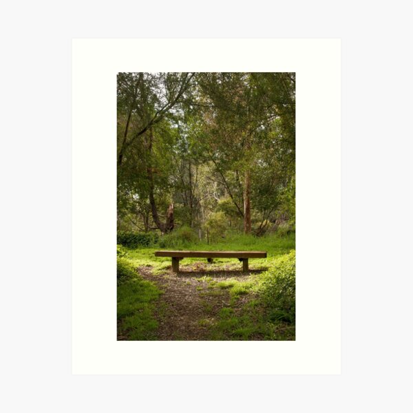 Lonely bench Art Print