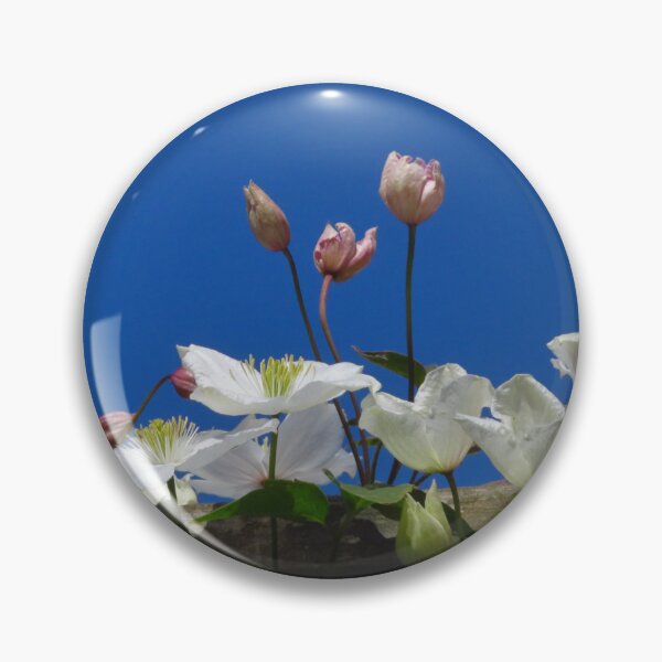 Item preview, Clematis designed and sold by wiggyofipswich.