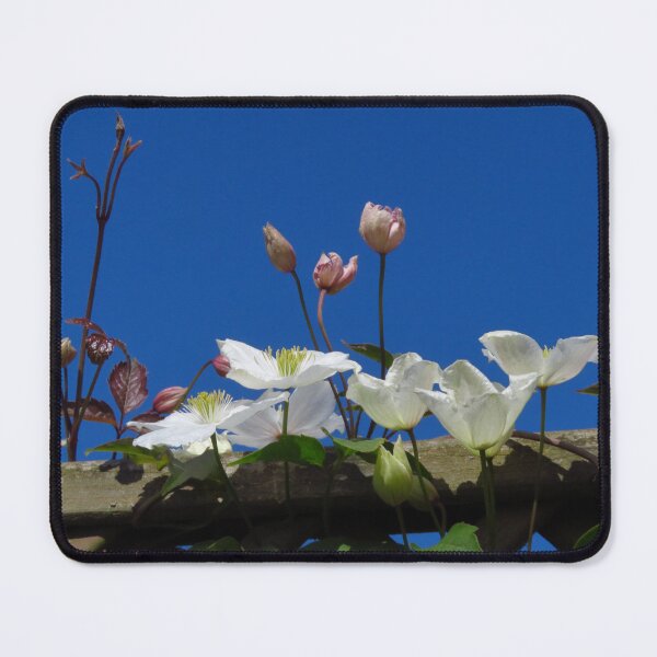 Item preview, Clematis designed and sold by wiggyofipswich.