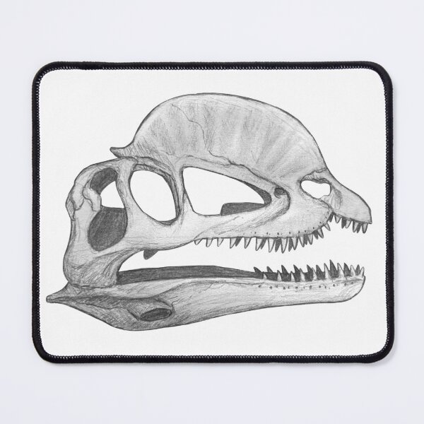 Item preview, Dilophosaurus skull designed and sold by DoodleSnake58.