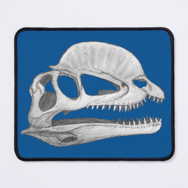 Item preview, Dilophosaurus skull designed and sold by DoodleSnake58.