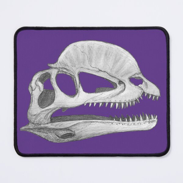 Item preview, Dilophosaurus skull designed and sold by DoodleSnake58.