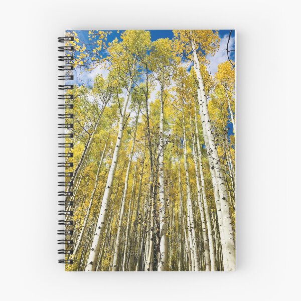 Item preview, Aspen Colorado designed and sold by Brad Bugara.