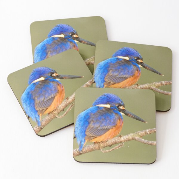 Item preview, Kingfisher designed and sold by Cate-Green.
