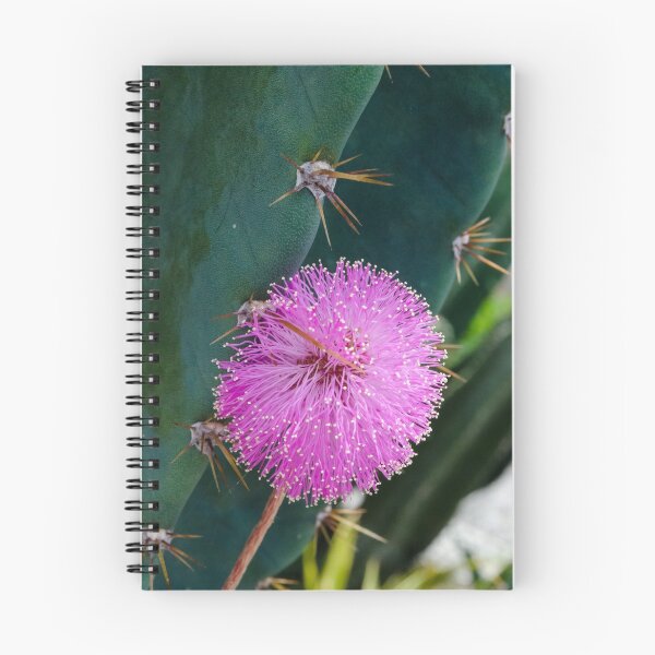 Item preview, Tickled Pink designed and sold by Allison Manson.