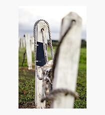 Crooked Ways Photographic Print