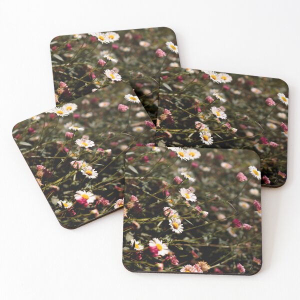 Item preview, Margarita daisy. Erigeron karvinskianus designed and sold by likiska.