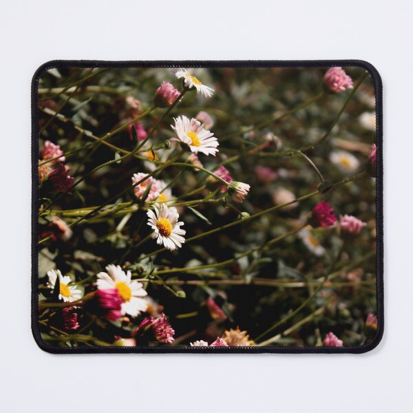 Item preview, Margarita daisy. Erigeron karvinskianus designed and sold by likiska.