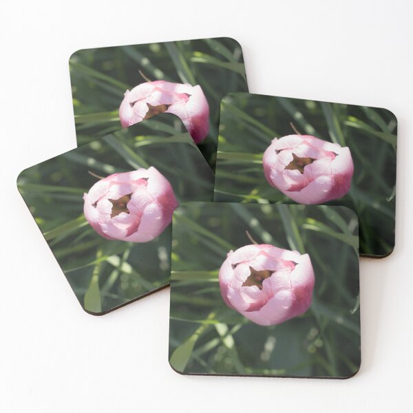 Item preview, Pink Dewdrops - a Delicate Tulip Bloom Opening Among Green Foliage designed and sold by Georgia Mizuleva.