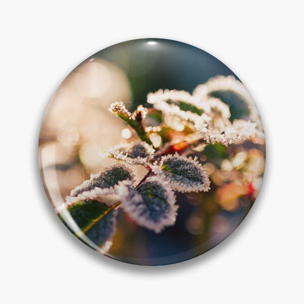 Item preview, Frosted rosebush. Winter designed and sold by likiska.