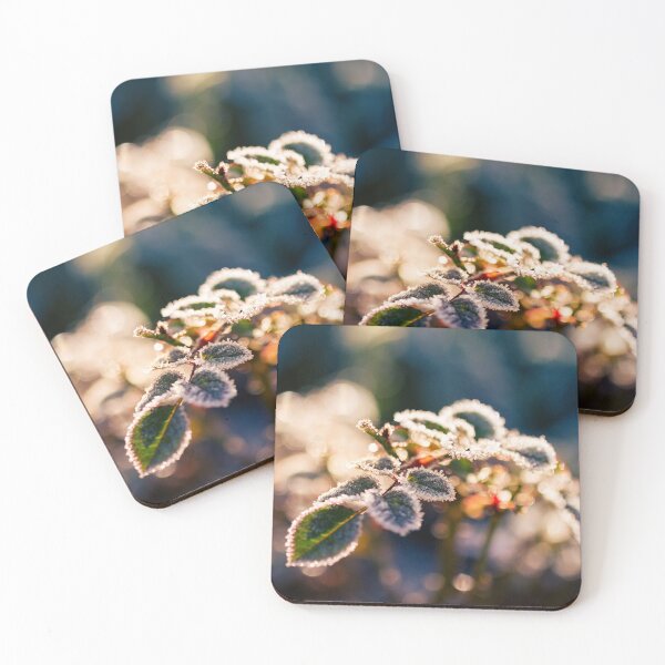 Item preview, Frosted rosebush. Winter designed and sold by likiska.