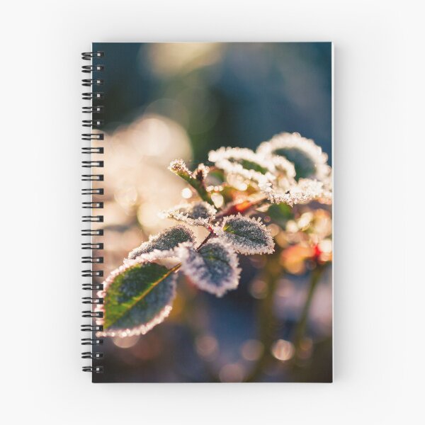 Item preview, Frosted rosebush. Winter designed and sold by likiska.