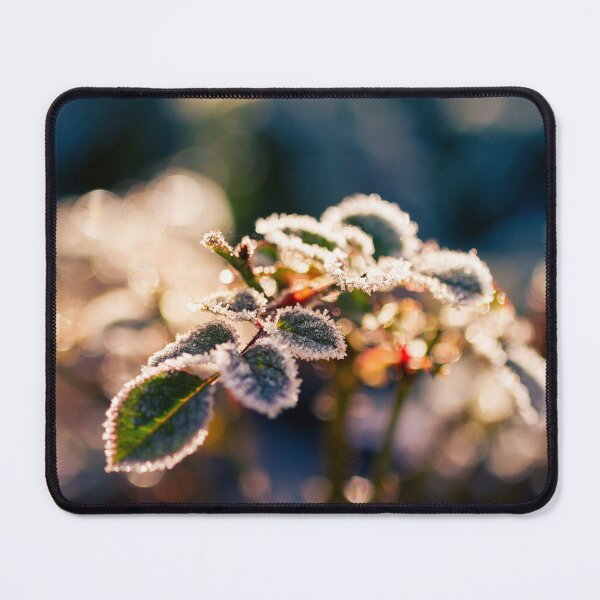 Item preview, Frosted rosebush. Winter designed and sold by likiska.