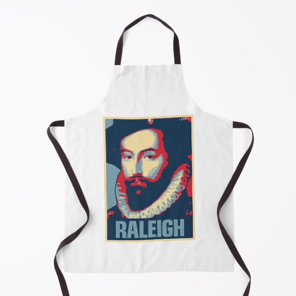 Item preview, Raleigh designed and sold by DFA.