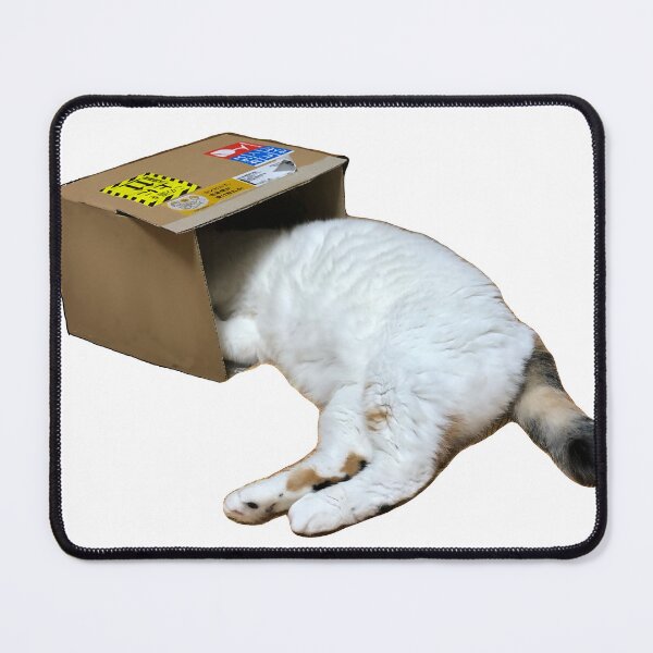 Item preview, Cat Head and Body in Cardboard Box designed and sold by Komatoya.