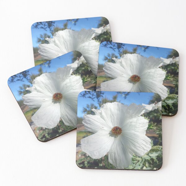 Item preview, White prickly poppy designed and sold by birgitsfotoshop.