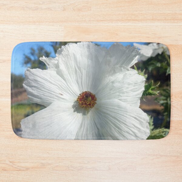 Item preview, White prickly poppy designed and sold by birgitsfotoshop.