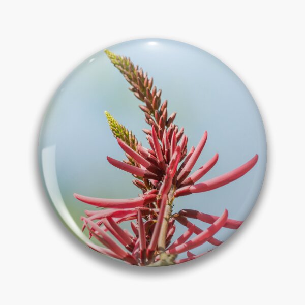 Item preview, Bright Coral Bean Blooms at the National Butterfly Center designed and sold by Debra Martz.