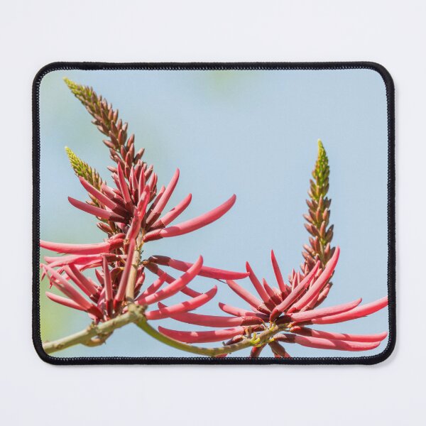 Item preview, Bright Coral Bean Blooms at the National Butterfly Center designed and sold by Debra Martz.
