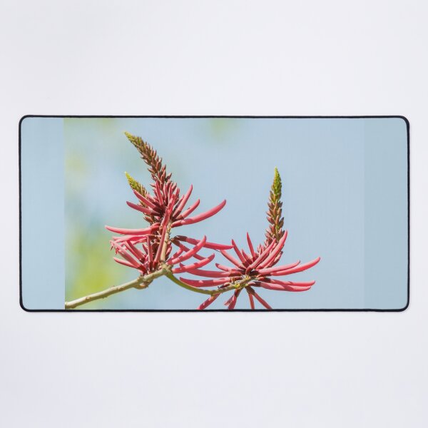 Item preview, Bright Coral Bean Blooms at the National Butterfly Center designed and sold by Debra Martz.