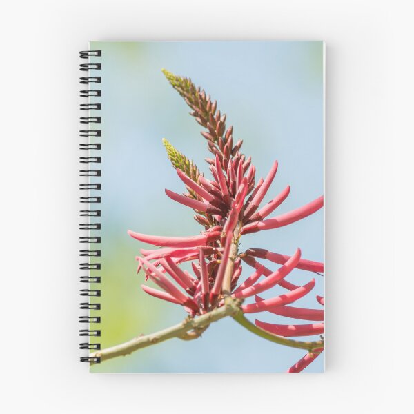 Item preview, Bright Coral Bean Blooms at the National Butterfly Center designed and sold by Debra Martz.