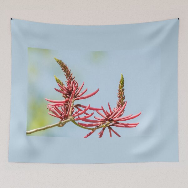 Item preview, Bright Coral Bean Blooms at the National Butterfly Center designed and sold by Debra Martz.