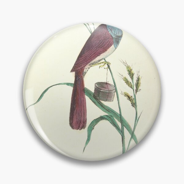 Item preview, Vintage Milliner Bird Portrait | Bird Art designed and sold by GammaRay.