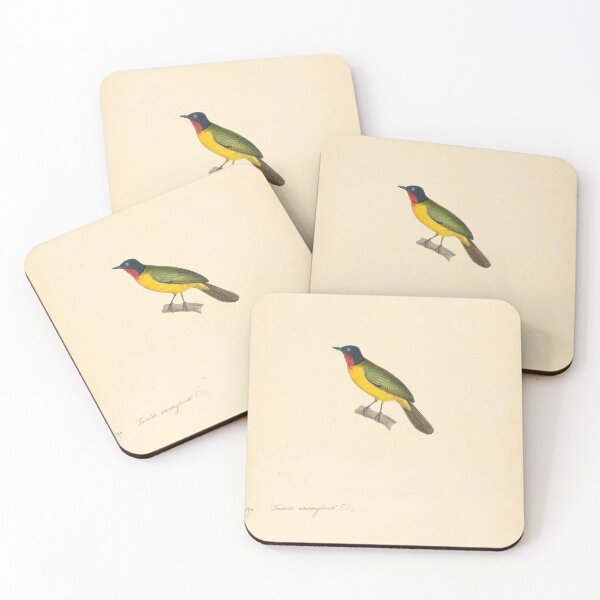 Item preview, Flame-Throated Bulbul Portrait | Bird Art designed and sold by GammaRay.