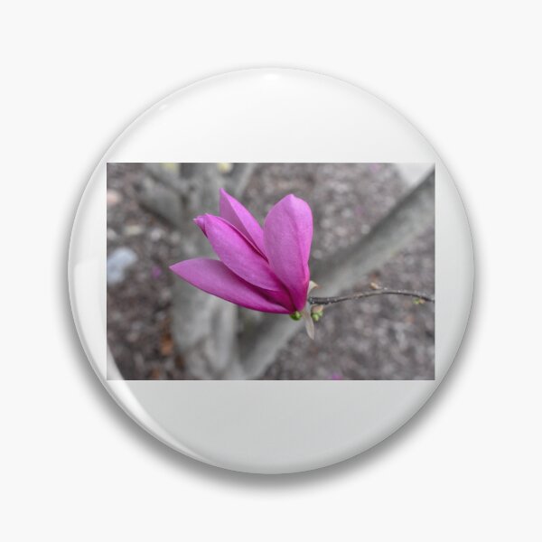 Item preview, Soft Delicate Flower designed and sold by Bennett Swanson.