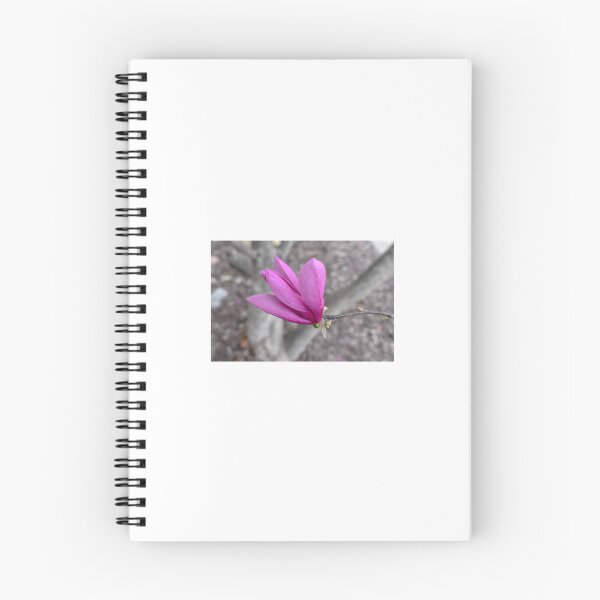 Item preview, Soft Delicate Flower designed and sold by Bennett Swanson.