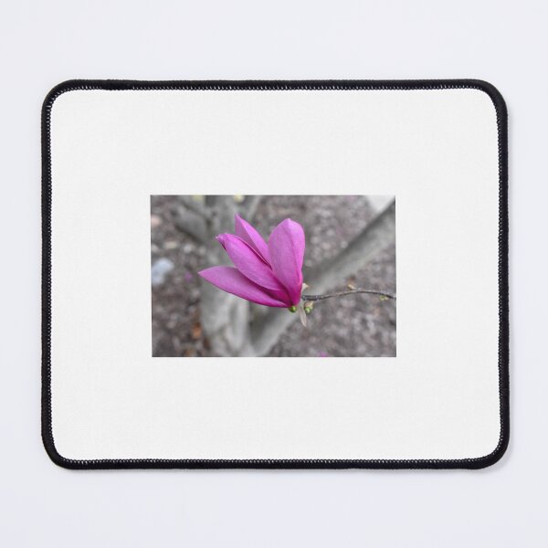 Item preview, Soft Delicate Flower designed and sold by Bennett Swanson.