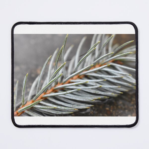 Item preview, A Might Macro Shot Of A Pine designed and sold by Bennett Swanson.