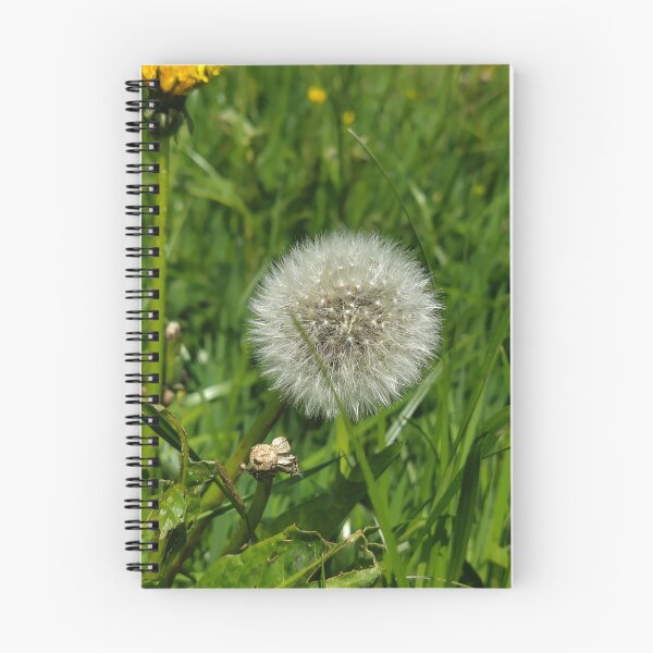 Item preview, dandelion in the forest designed and sold by Carlitos-shop.