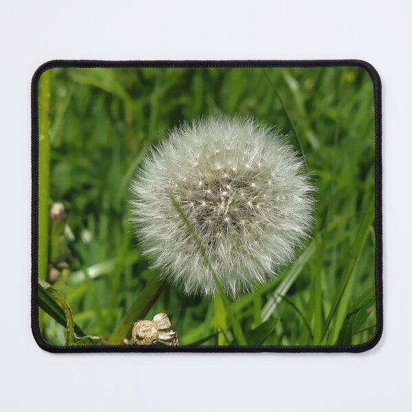 Item preview, dandelion in the forest designed and sold by Carlitos-shop.