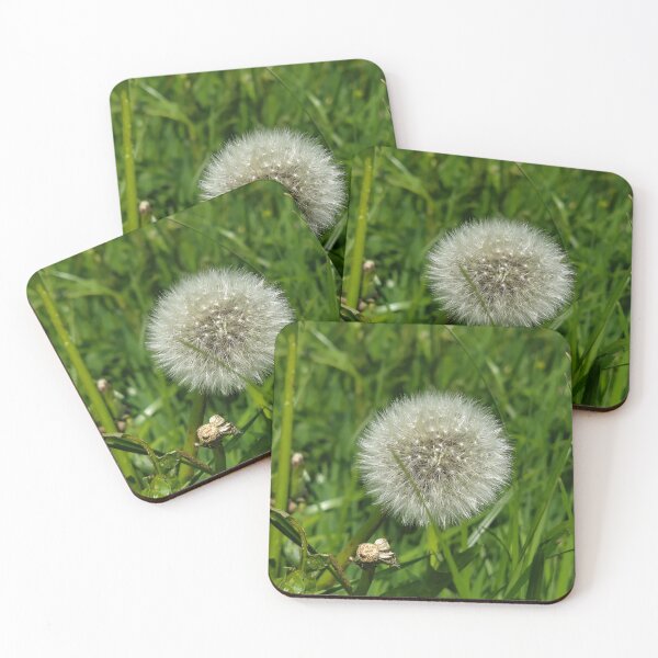 Item preview, dandelion in the forest designed and sold by Carlitos-shop.
