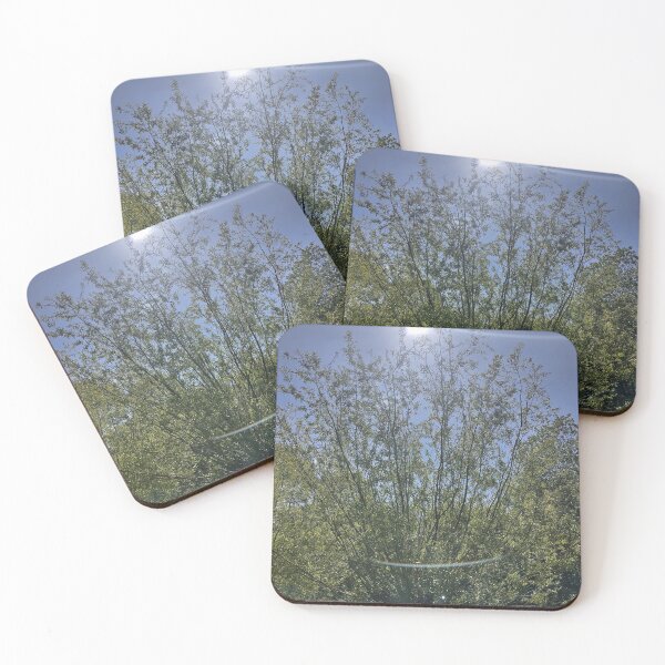 Item preview, The sun shinning through the trees designed and sold by Carlitos-shop.
