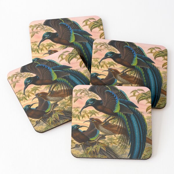 Item preview, Art Nouveau Bird Illustration Tropical Paradise for Vintage Nature Collectors designed and sold by RickE.