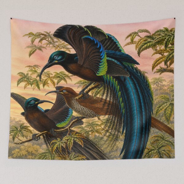 Item preview, Art Nouveau Bird Illustration Tropical Paradise for Vintage Nature Collectors designed and sold by RickE.