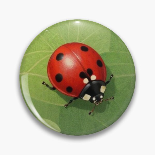 Item preview, Ladybug designed and sold by pantjella.