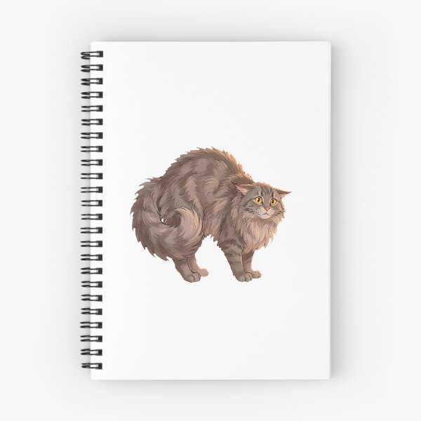 Item preview, Maine Coon Mood #07: Spooked Fluffy Arch designed and sold by Quiet Joy Studio.