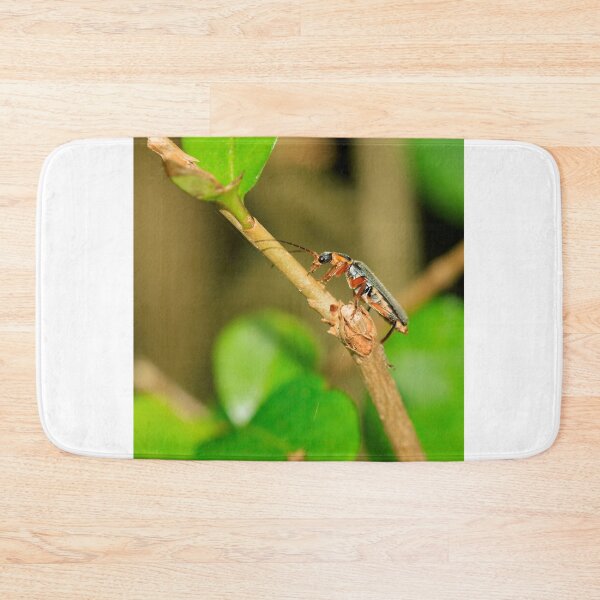 Item preview, Soldier beetle (cartharis rustica) designed and sold by mohawkphotography.