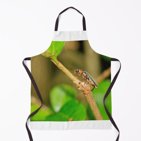 Item preview, Soldier beetle (cartharis rustica) designed and sold by mohawkphotography.