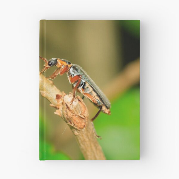 Item preview, Soldier beetle (cartharis rustica) designed and sold by mohawkphotography.