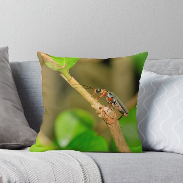 Item preview, Soldier beetle (cartharis rustica) designed and sold by mohawkphotography.