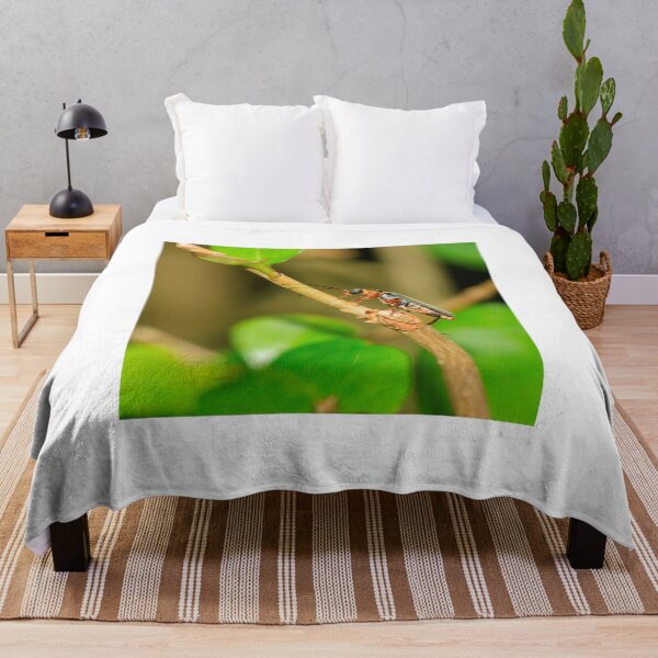 Item preview, Soldier beetle (cartharis rustica) designed and sold by mohawkphotography.