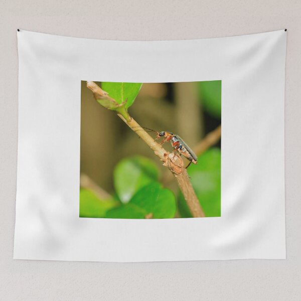 Item preview, Soldier beetle (cartharis rustica) designed and sold by mohawkphotography.