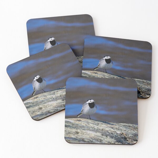 Item preview, White wagtail Spring 2026 designed and sold by Jouko Lehto Photography.